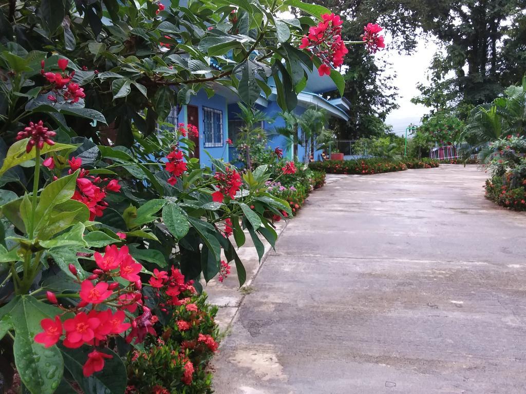 Paramee Inn Pai Bagian luar foto
