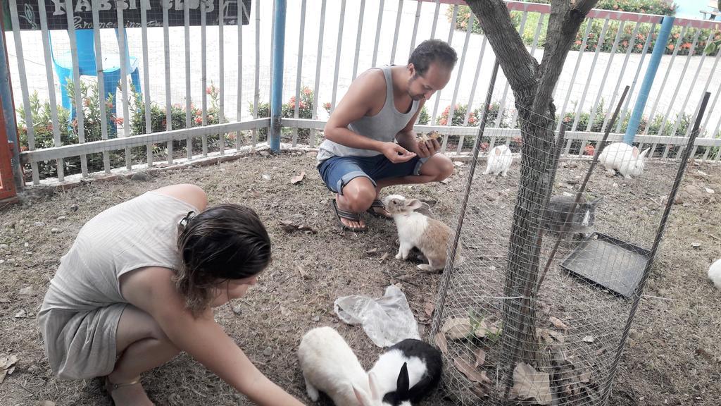 Paramee Inn Pai Bagian luar foto