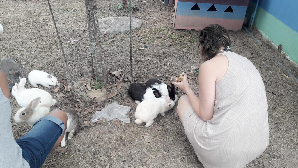 Paramee Inn Pai Bagian luar foto