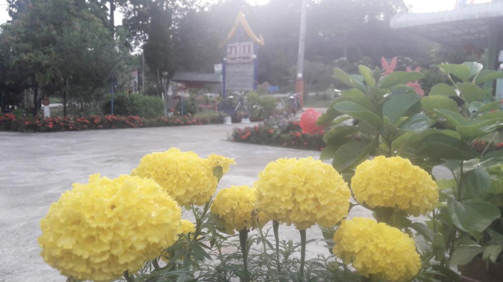 Paramee Inn Pai Bagian luar foto