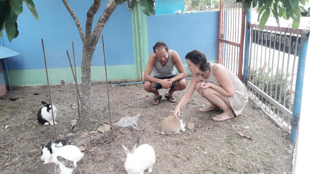 Paramee Inn Pai Bagian luar foto